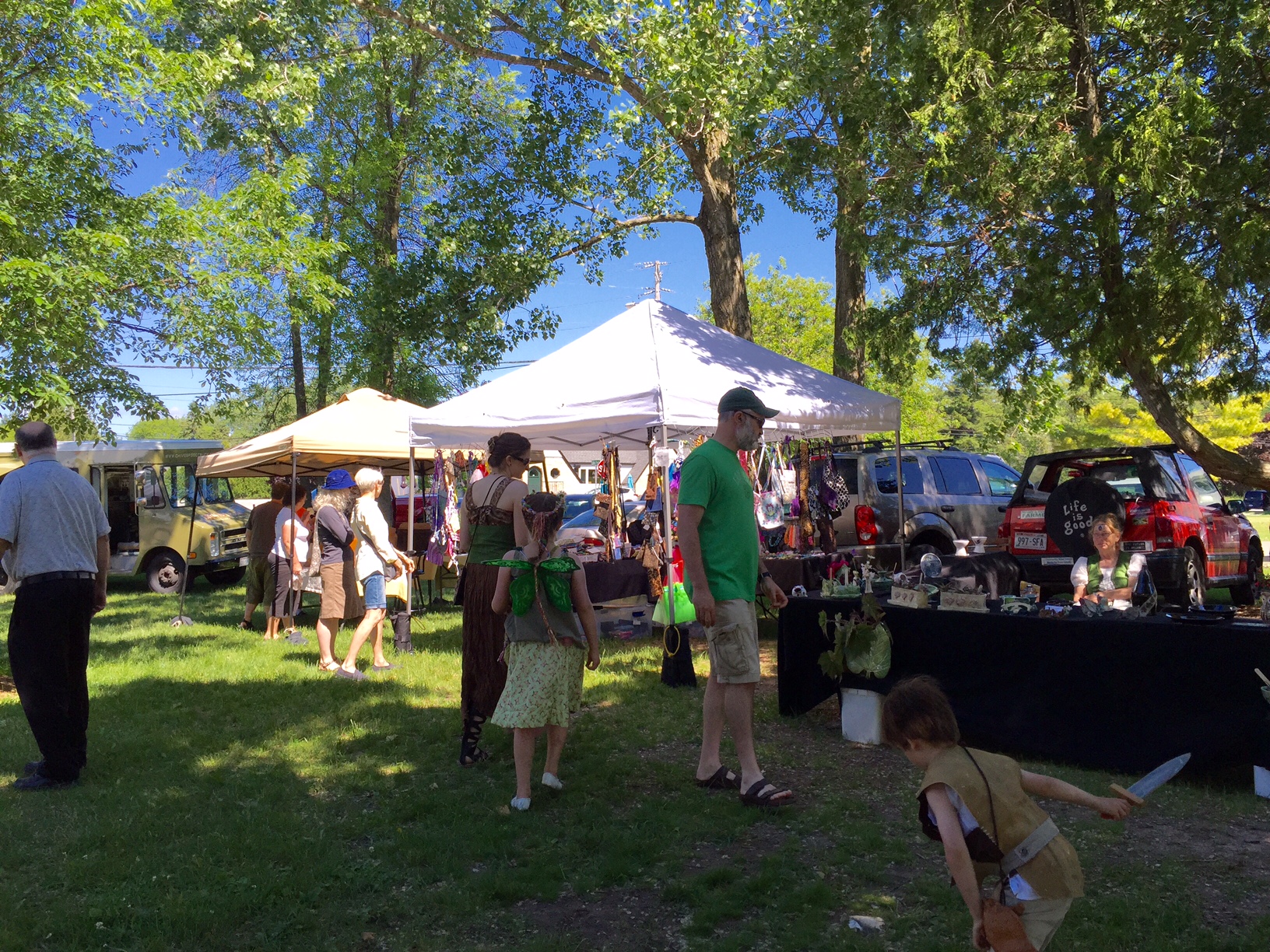 Phoenix to Show Low Shuttle to and from Any AZ Airport or Address